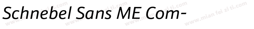 Schnebel Sans ME Com字体转换